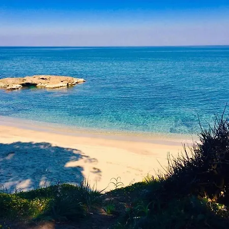 Bel Dans Résidence Avec Piscine