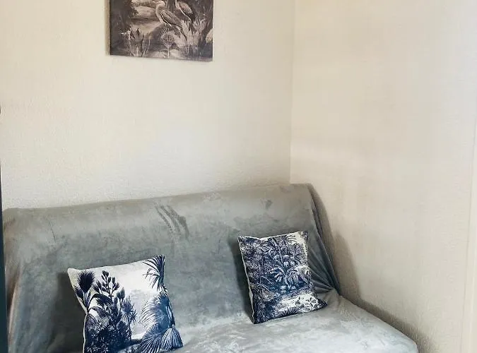 Bel Dans Avec Piscine